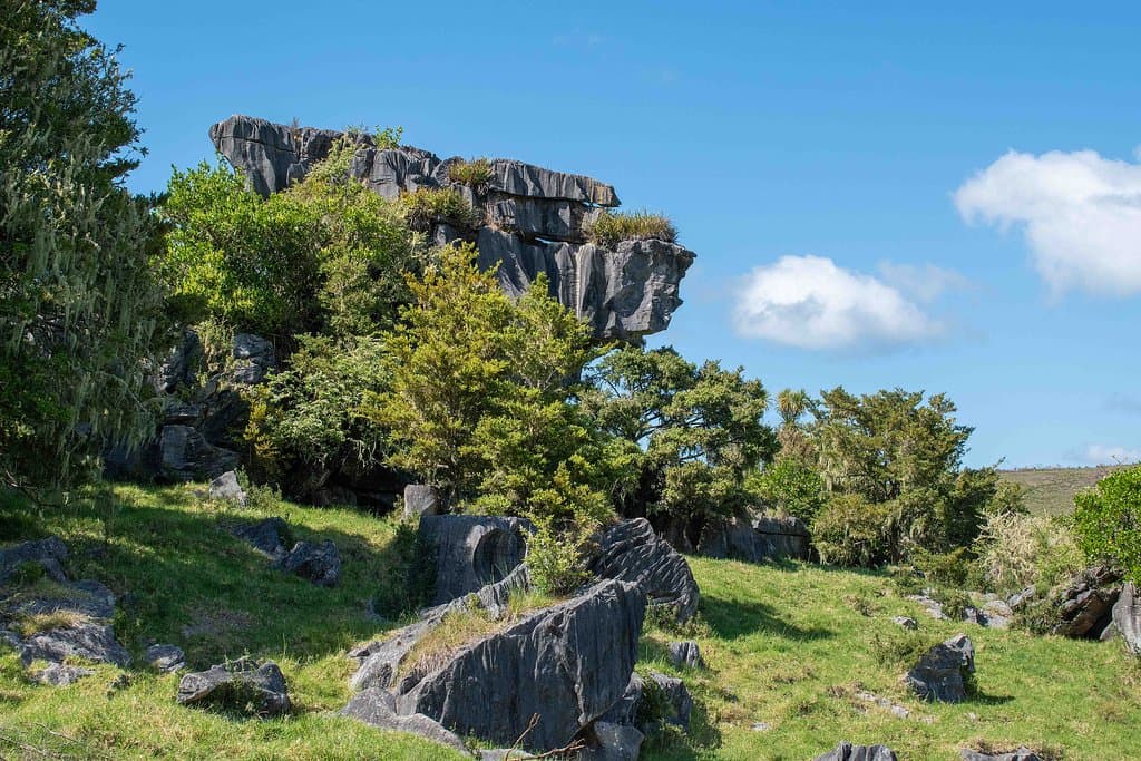 Rock formation on Kawiti Glowworm Caves property. (AlpinerHut)