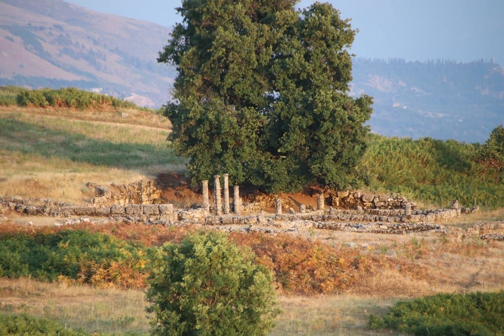 Peristyle remains