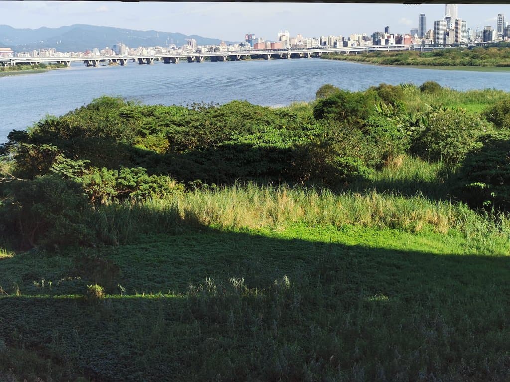 自附近高處欣賞位於三條河交會處的江子翠河口景觀河濱公園