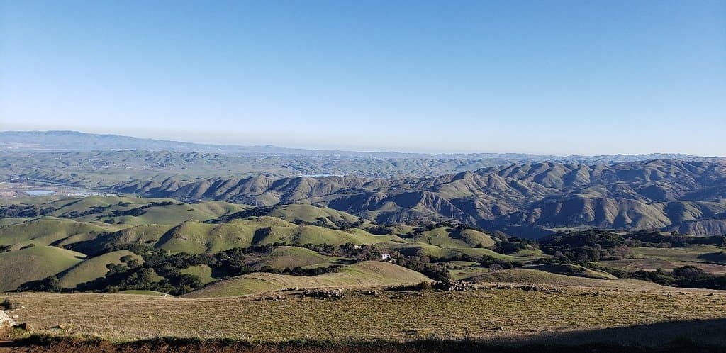 Mission peak pole@2517 feet