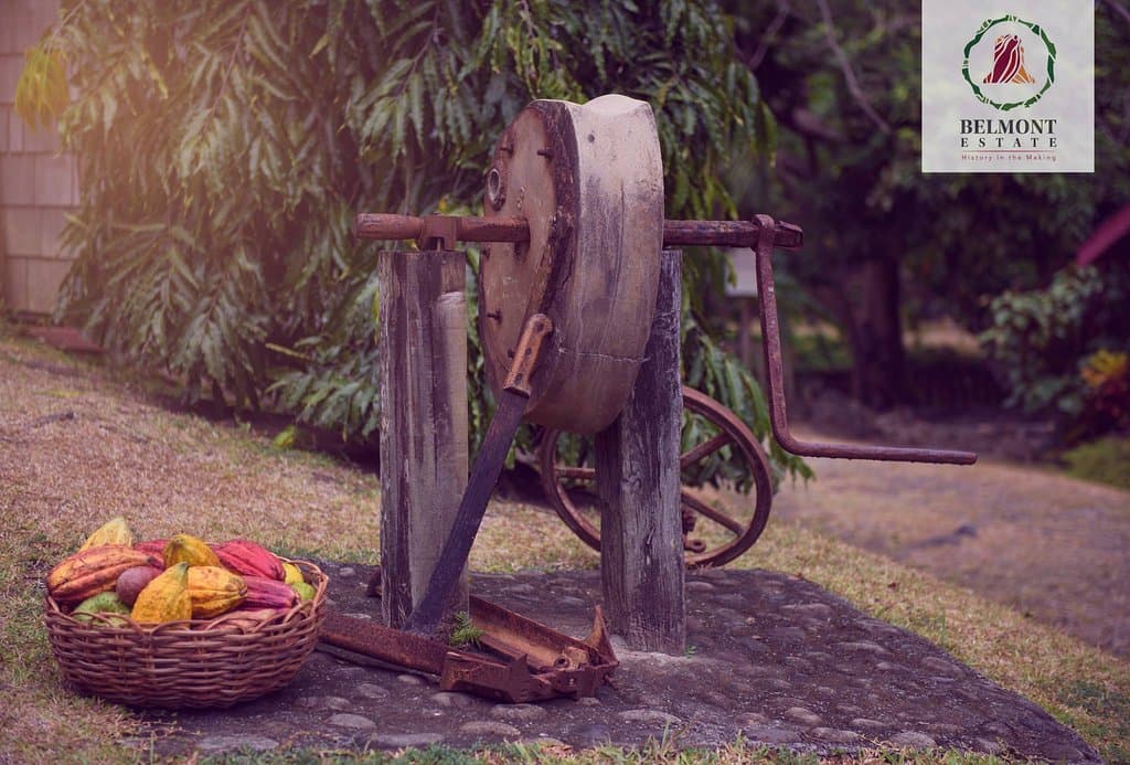 Here's a photo of our grinding stone.