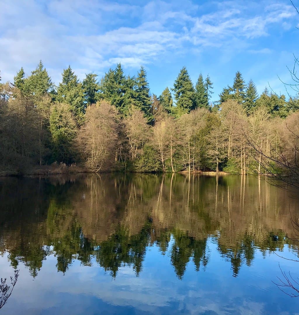 Lynford Arboretum