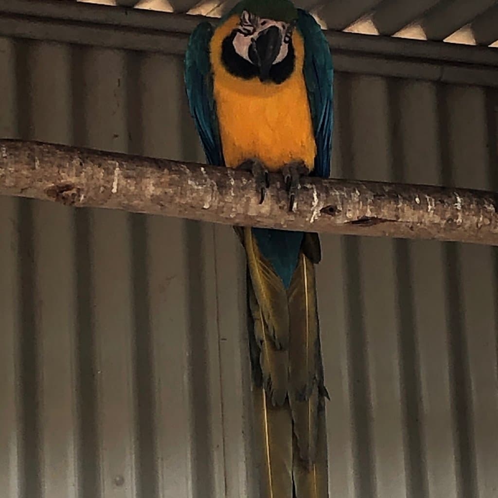 Taralga Wildlife Park