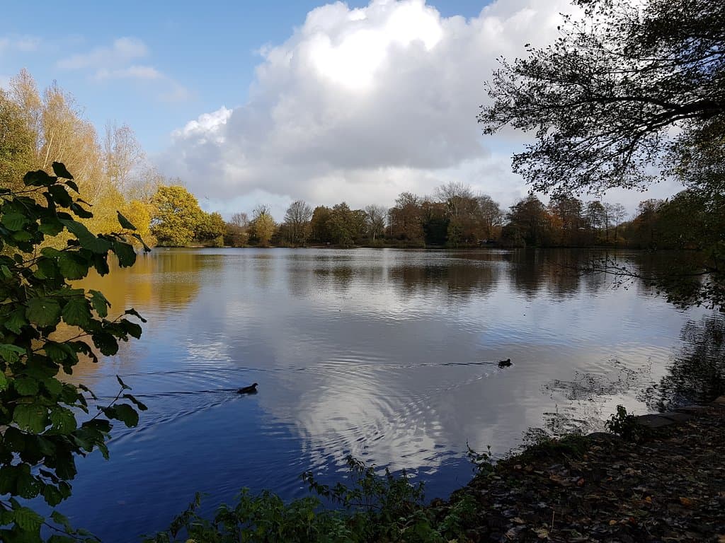 Broadwater Park 