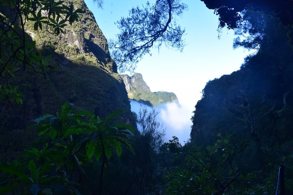 Queimadas Forest Park