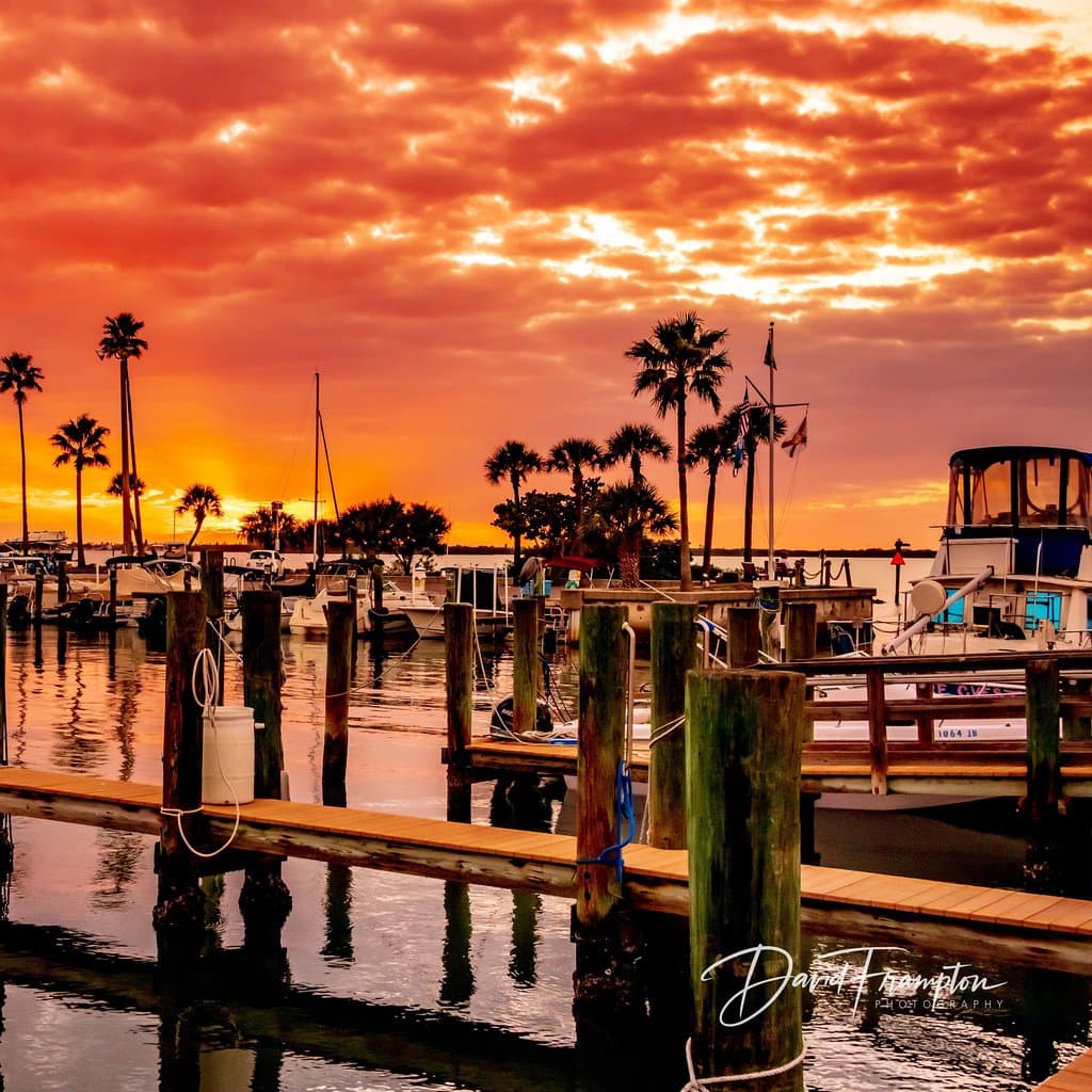 Edgewater Park Dunedin