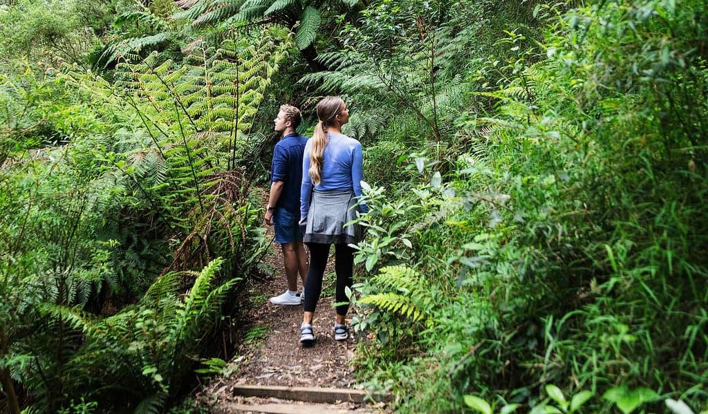Great Otway National Park Victoria Australia