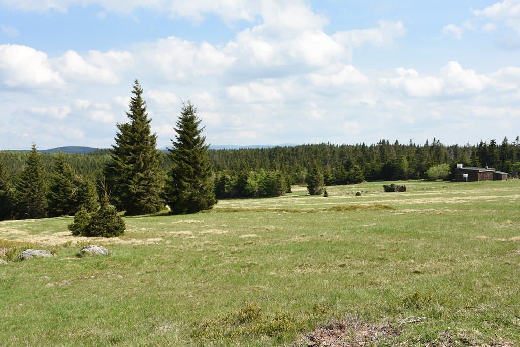 Polana Izerska