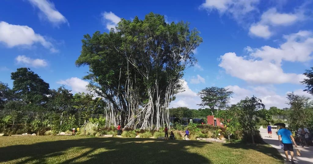 Sembawang Hot Springs Park