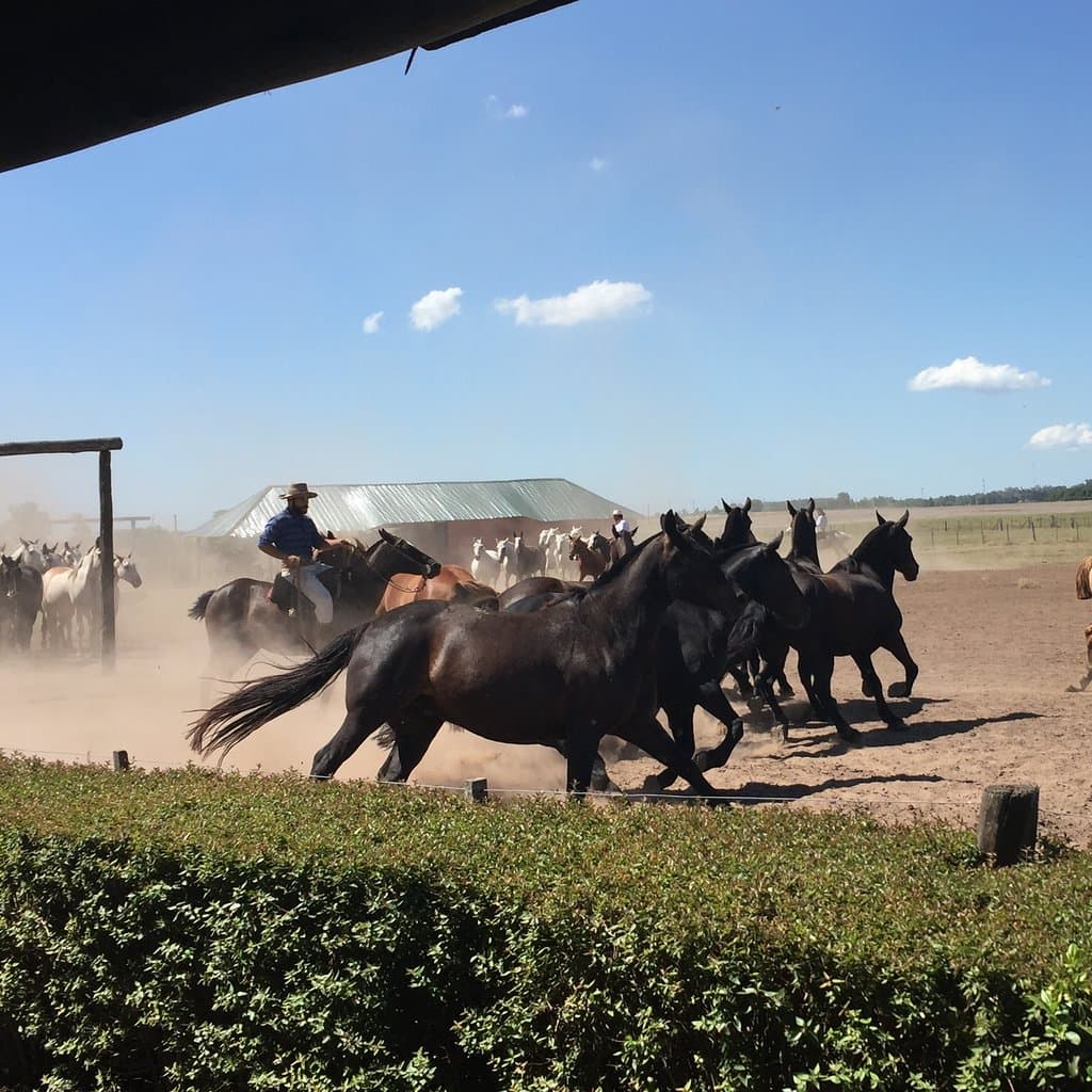 Estancia Santa Susana