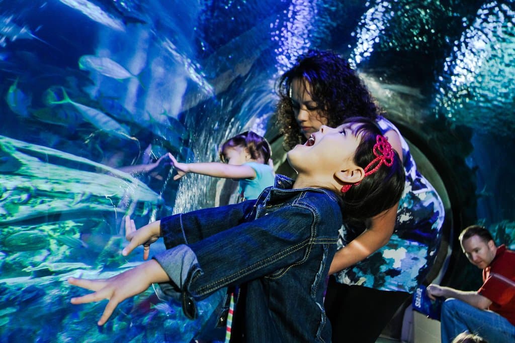 SEA LIFE New Jersey Aquarium