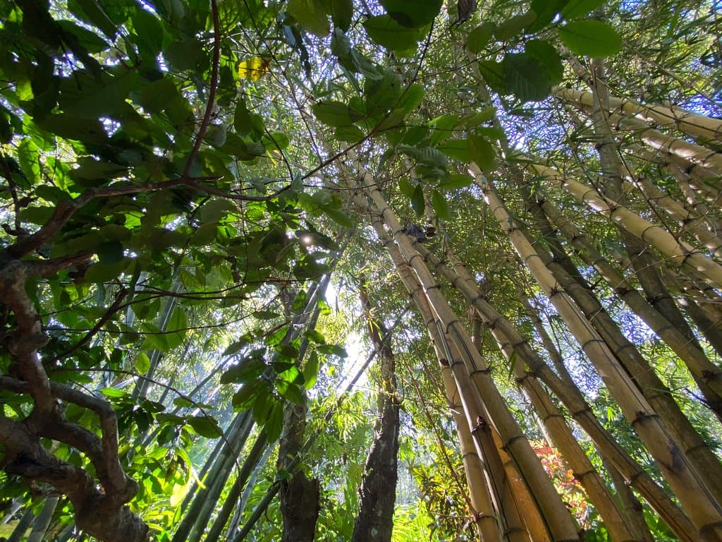 There is so much packed into the small holding behind his home..