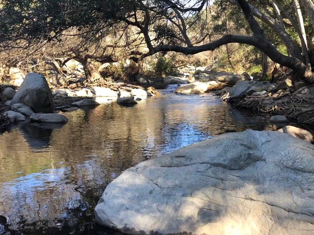 first time visiting the Elfin Forest Reserve and I loved it! I hiked the Way Up trail and ate lunch at the Mariposa Picnic Area with views of the water :) nice serene creek at the beginning of the trail and pretty white flowers throughout, beautiful scenery and a lovely hike 10/10