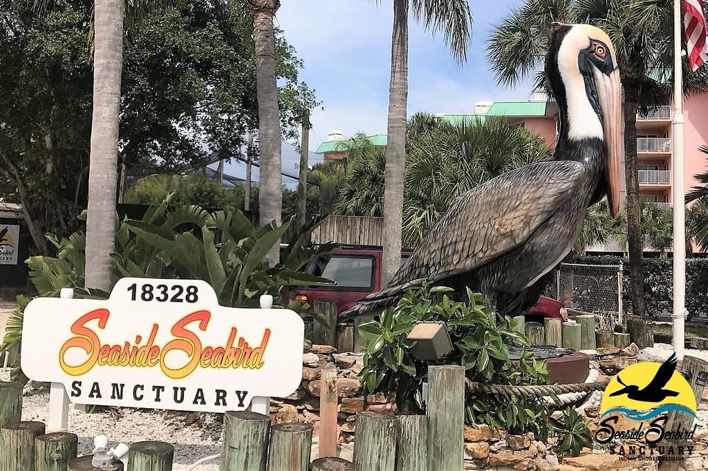 Seaside Seabird Sanctuary Main Entrance