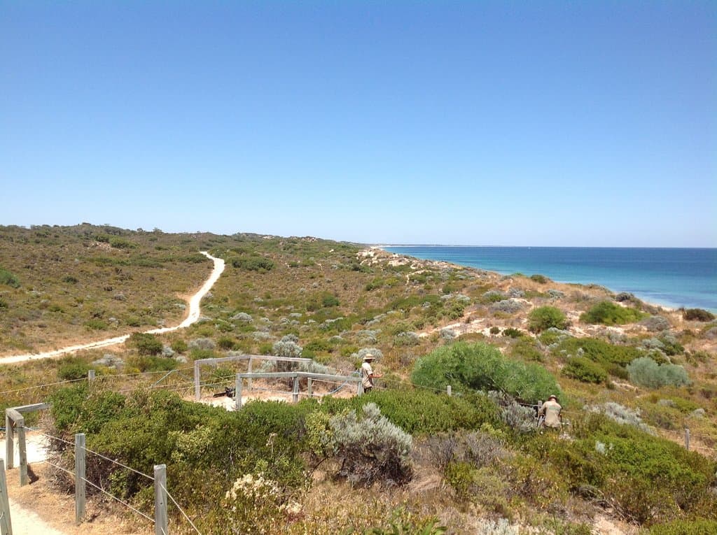 Walk trail into Maidens Reserve starting at Mindalong Beak parking lot