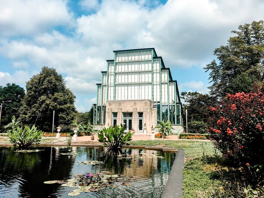 The Jewel Box