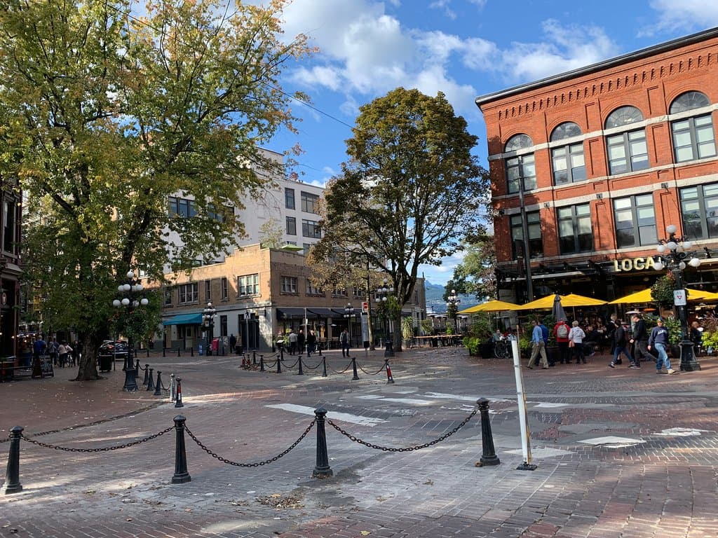 Maple Tree Square