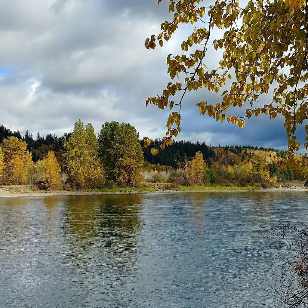 Cottonwood Island Nature Park
