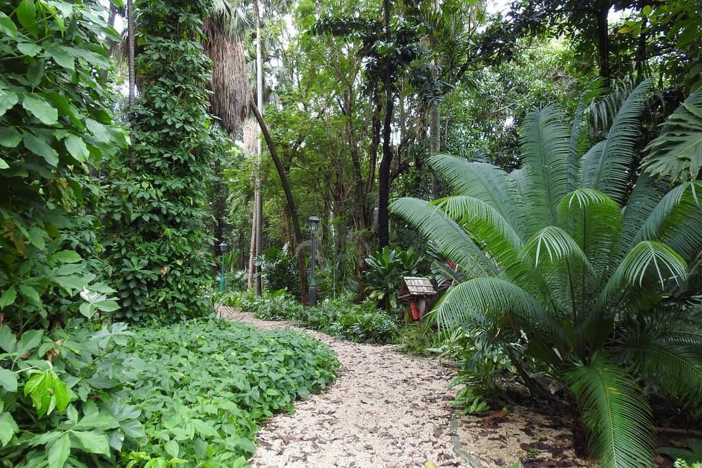 A path into bliss.