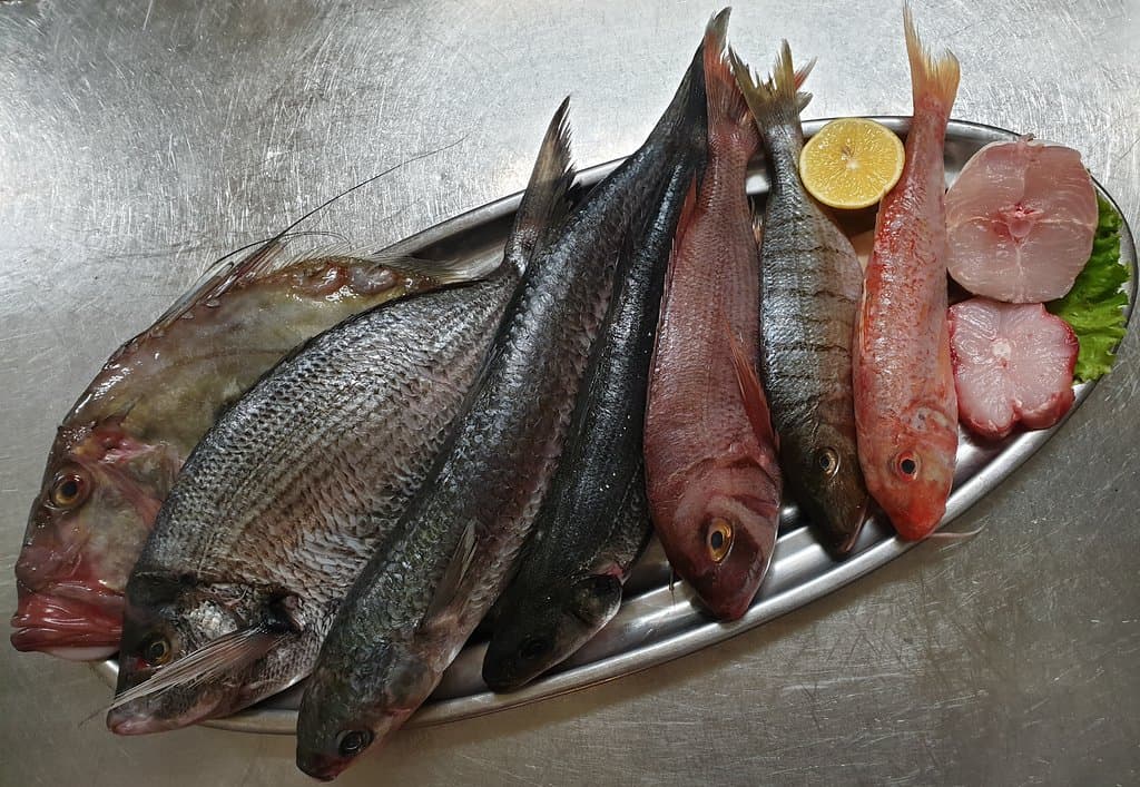 Daily catch at the fish-market, presented for you to choose!
