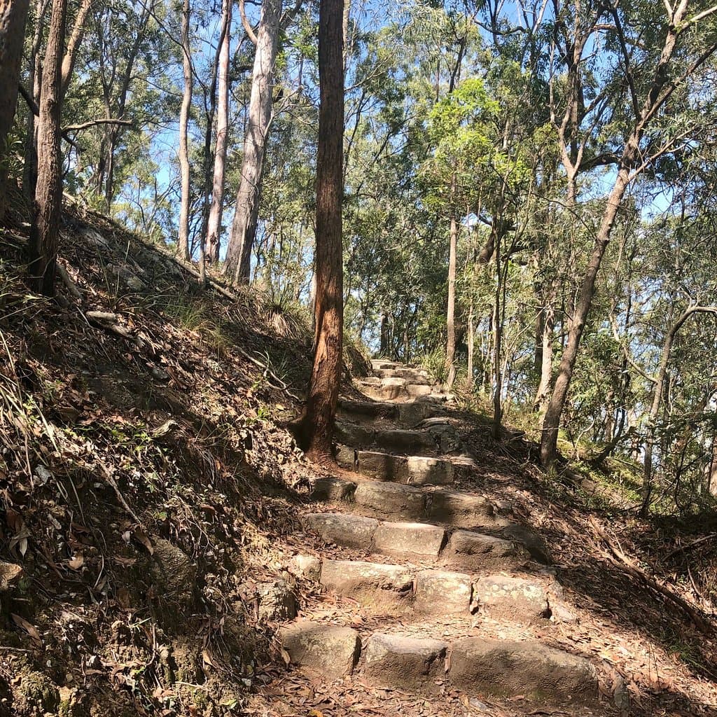 Toohey Forest Park Brisbane