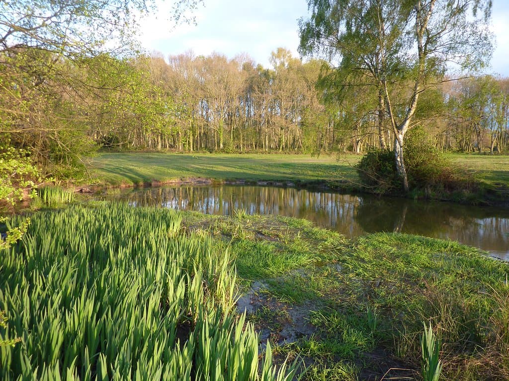 Darvells Pond