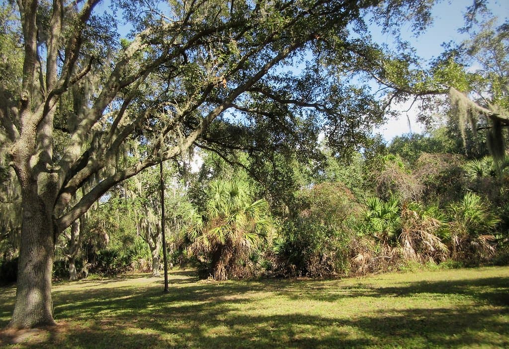 Peaceful & Quiet Park