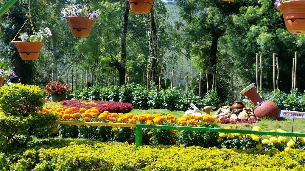 Munnar Rose Garden