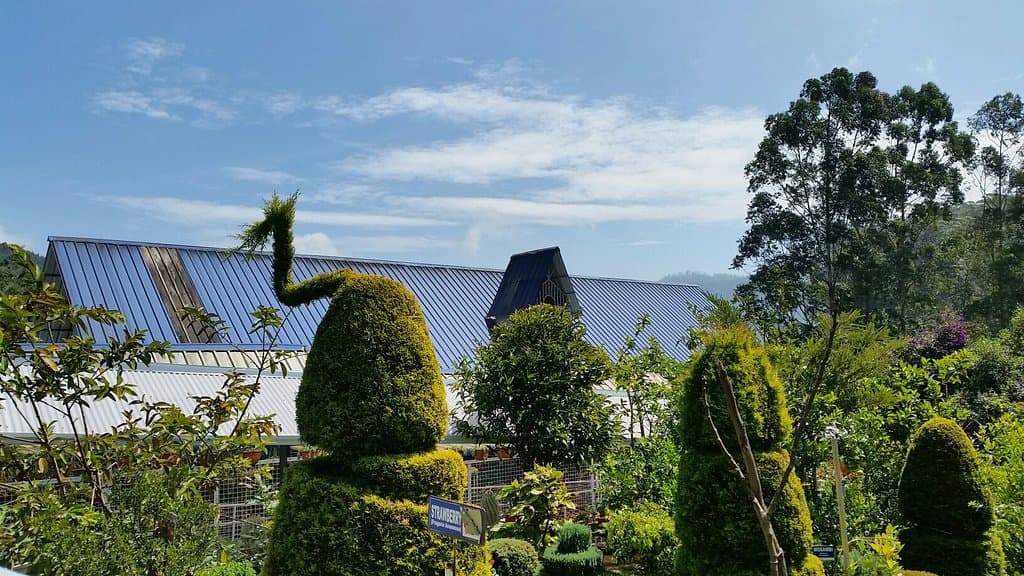 Butterfly Garden Munnar