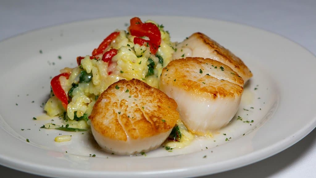 Seared Diver Scallops Appetizer over creamy parmesan risotto with a white wine lemon butter sauce