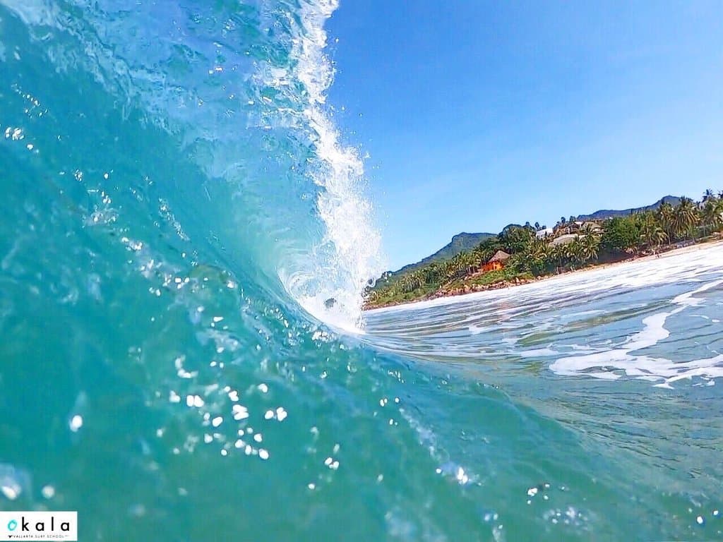 Our favorite colours 🌎🌴💦✨