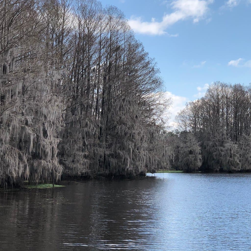 Georgia Veterans State Park Lake Blackshear