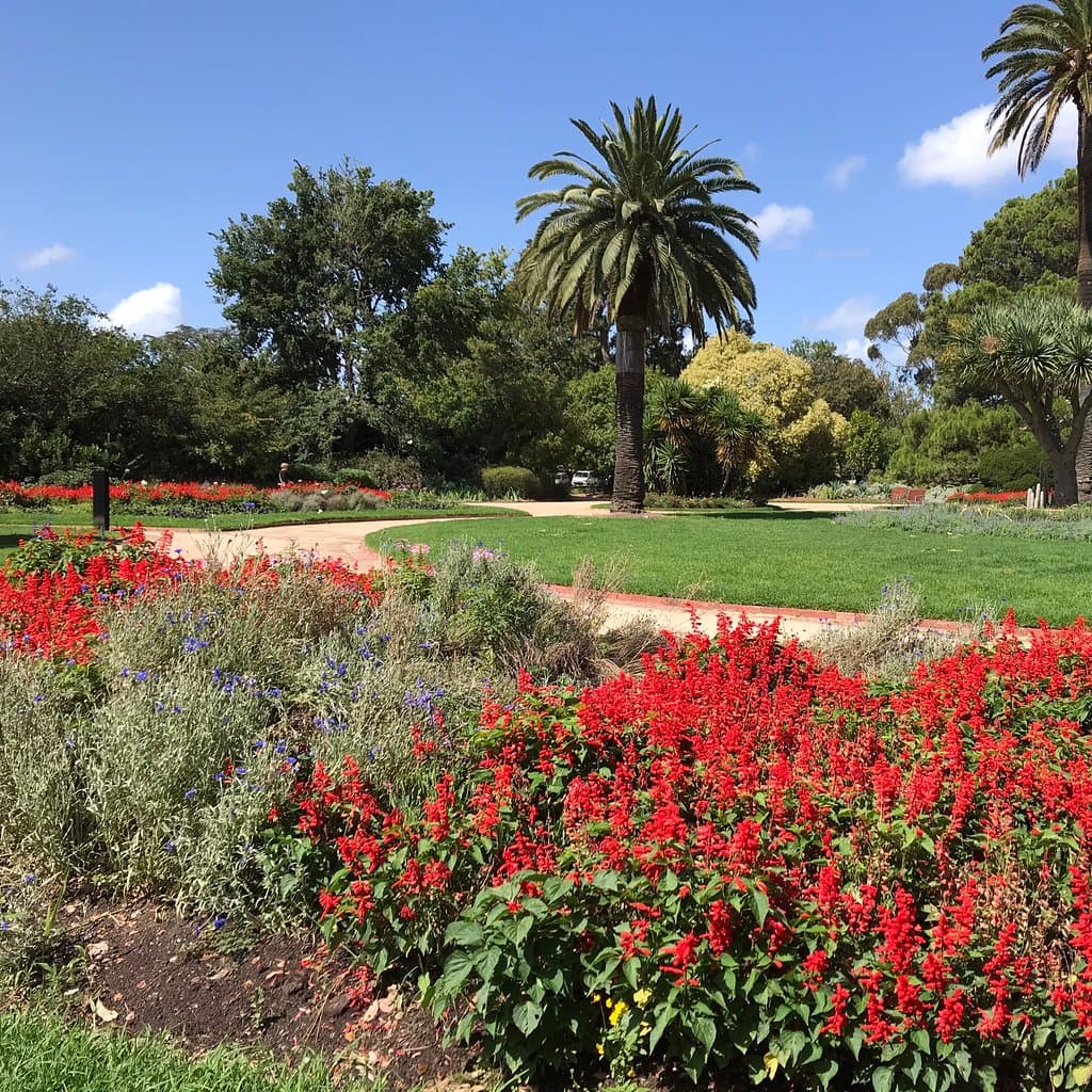 St Kilda Botanical Gardens Melbourne