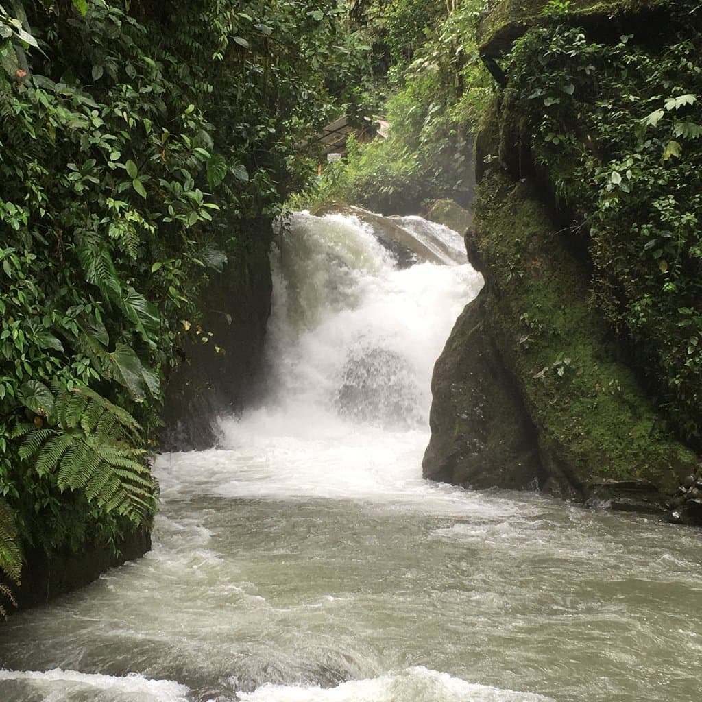 Mindo-Nambillo Cloud Forest Reserve