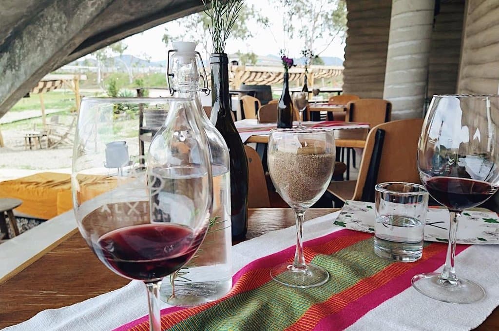 Enjoying our ALMA wines.