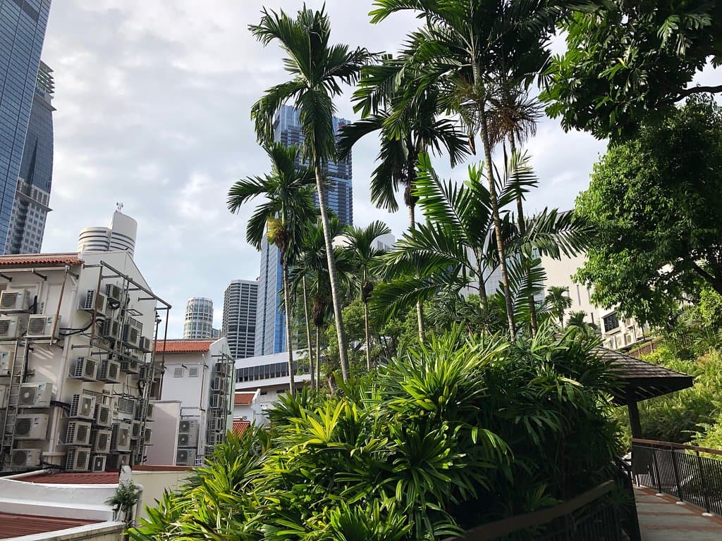 The hillside with palms and the building with all the HVAC units
