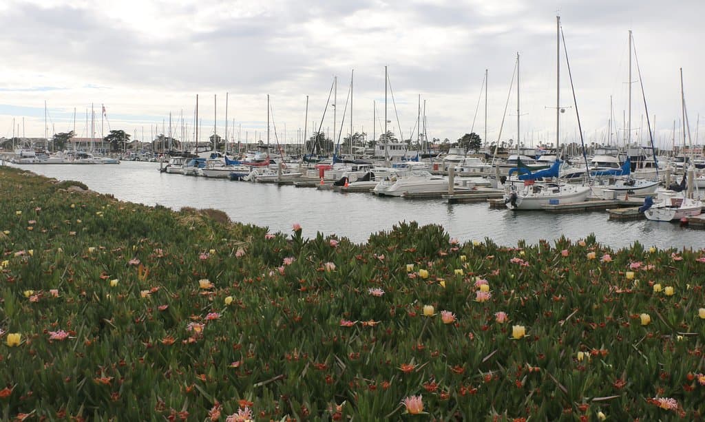 View of Harbor from Park