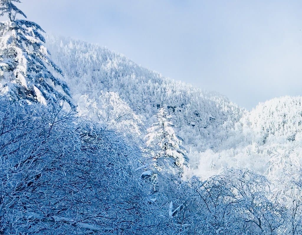 Mad River Glen Ski Area