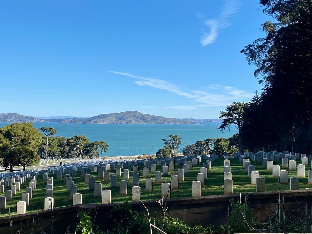 views of the bay 