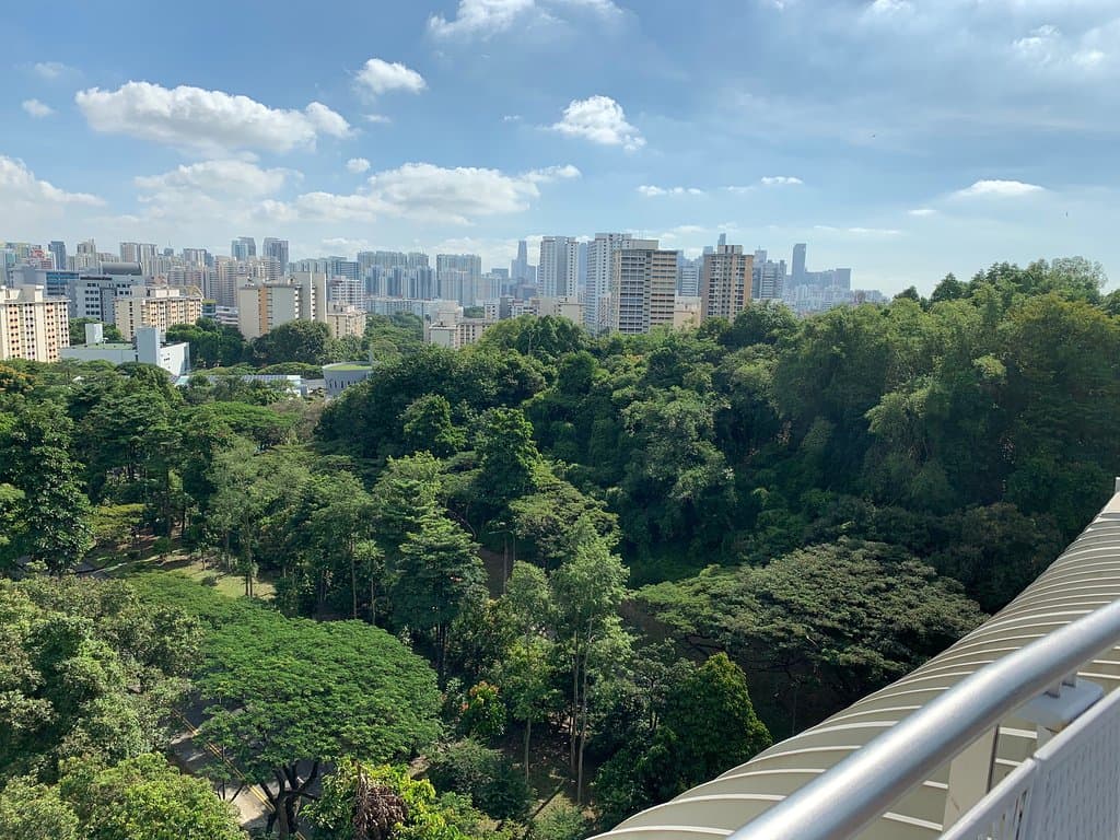 The view back towards Downtown