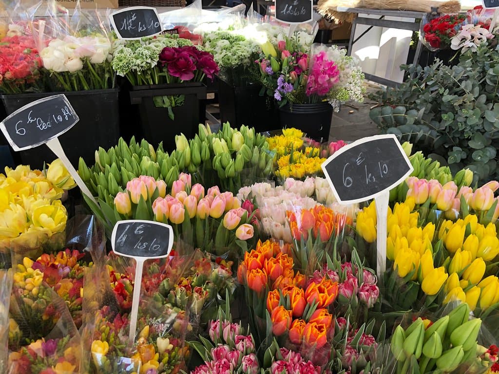 チューリップの花束