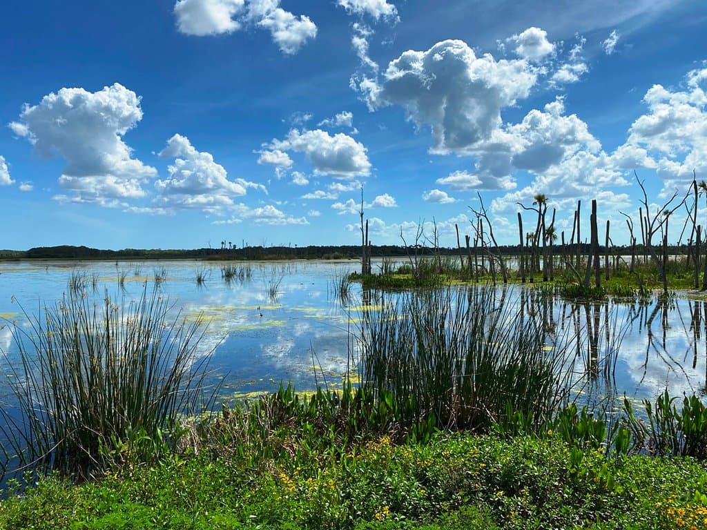 Orlando Wetlands Park. Des paysages de rêve!