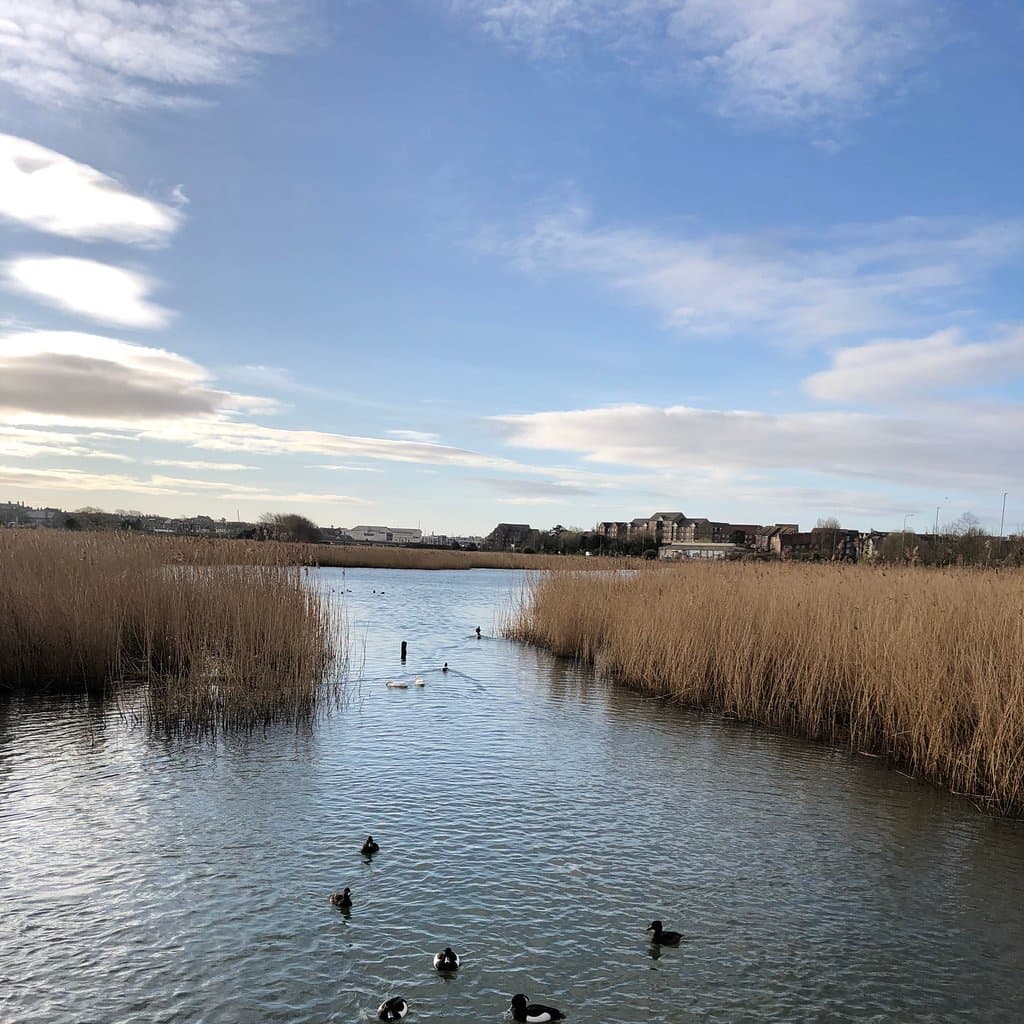 Radipole Lake RSPB Weymouth