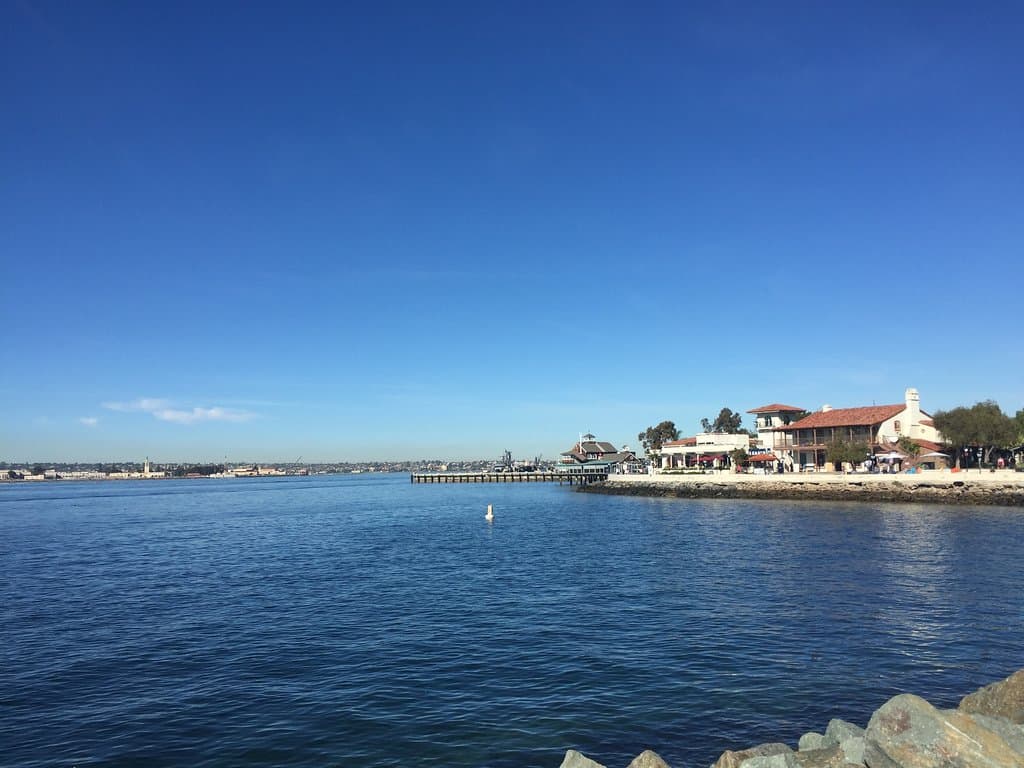 another pic from the park