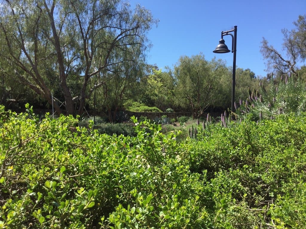 Turtle Rock Nature Center