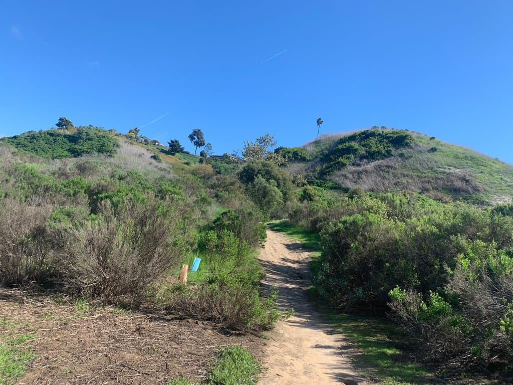 Rose Canyon Open Space Park