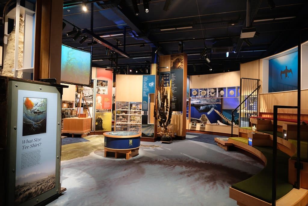 Inside the museum
