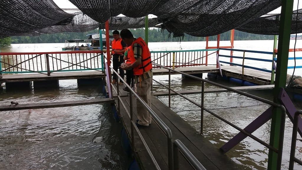 Kuala Sepetang Eco Tourism