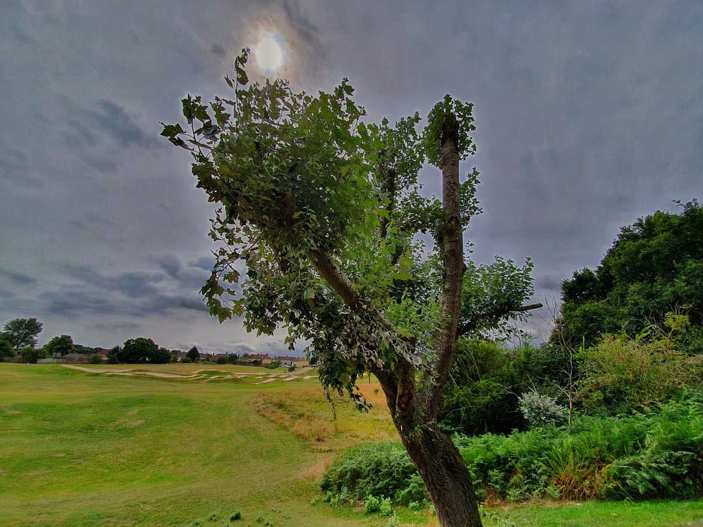Landseer Park