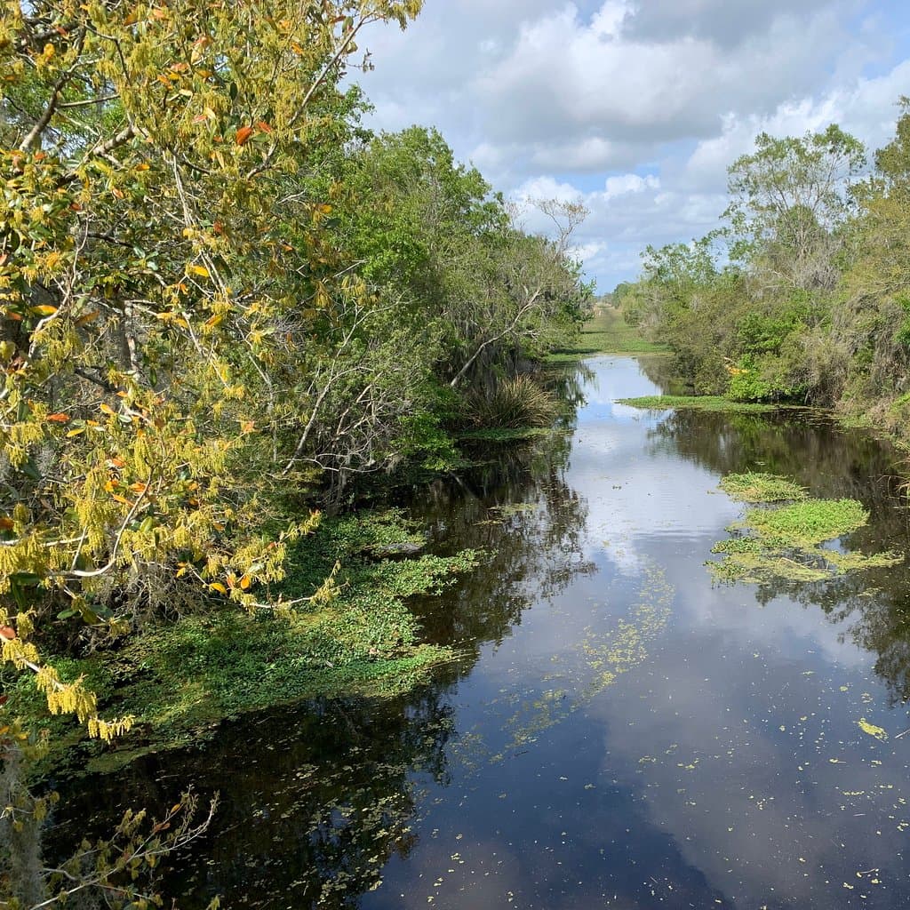 Barataria Preserve Visitor Center